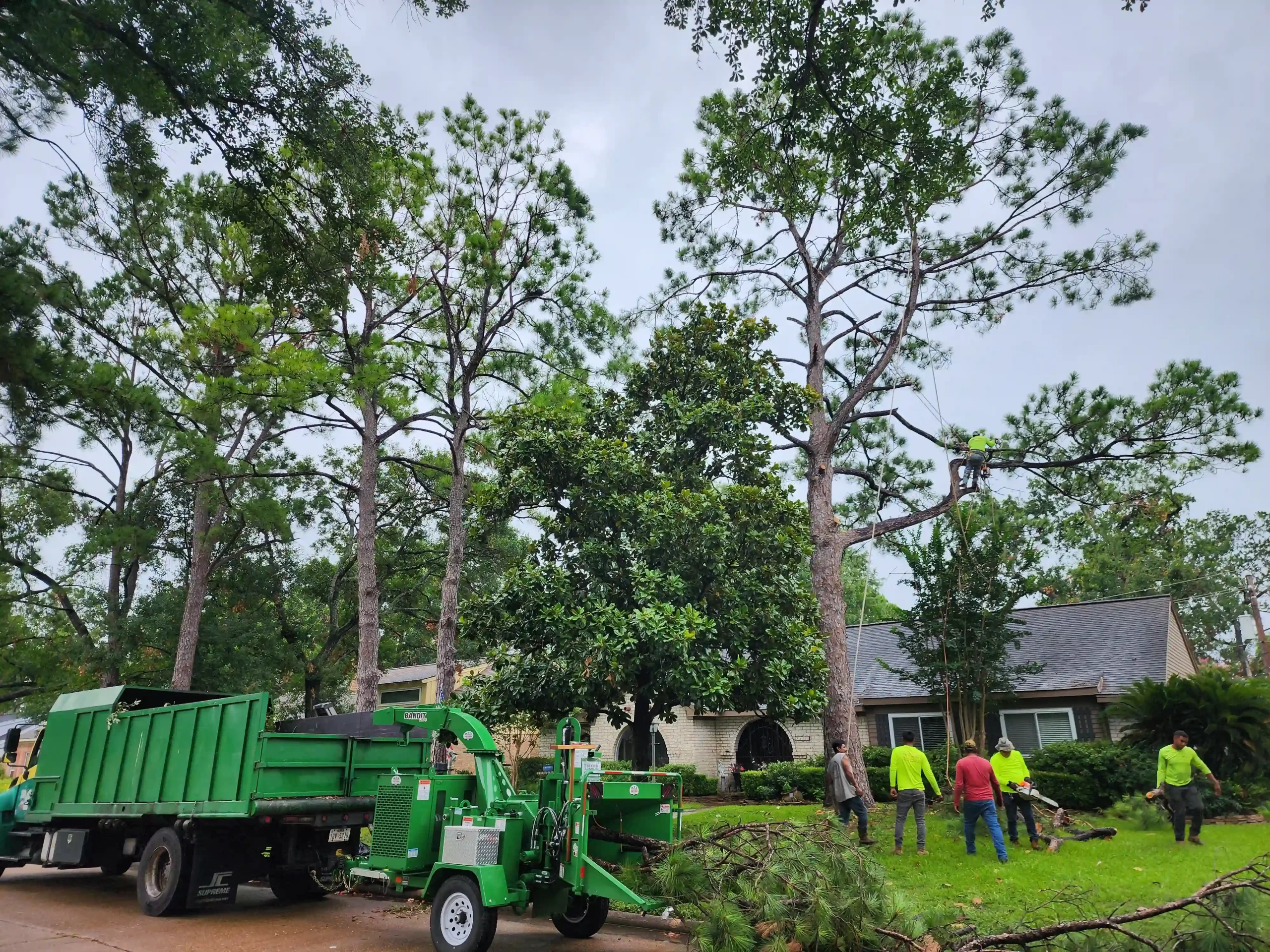 Best Choice Tree Service gallery 8